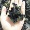 Factory Price Big Fungus Dried Black Mushroom Whole like a flower