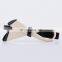 Customize Classic Simple Gold Stripe Color Series Acrylic Hair Barrettes For Long Hair