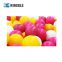 Hollow new condition full automatic plastic toys sea ball extrusion blow molding machine