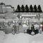 BP12R2 Genuine Longbeng fuel injection pump 612601080565 for Weichai WD615