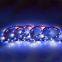 Tape led light flexibility led strip LC8808 30 LEDS per meter DC12V full color