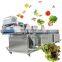 Commercial Vegetable Cleaning Machine Celery Non-Destructive Lifting Spray Fruit Washing Machine