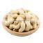Bulk Premium Quality Raw Cashew Nut