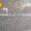Factory Supply Polished Bala Flower Granite For Sale