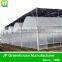 Popular Vegetable Tunnel Greenhouse