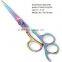 HOSPITECH Rainbow color Hair Cutting scissors 6" and 6.5"