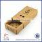 Custom Bow Tie Gift Packaging Box