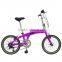 2015 Hot Selling Good Quality 20 inch Steel Folding Bike FB-B109
