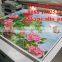 Digital industrial outdoor printing machine,pop advertisement outdoor inkjet printer