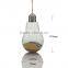 Bulb Shaped Clear Hanging Decoration Glass Bottles,Hanging Wishing Glass Jars