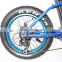 20" electric bike kit with lithium ion battery