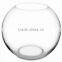 Decorative Ball Shape Fish Bowl Clear Glass Fish Bowl