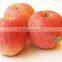 SW-LC12 2015 Apple Auto Weighing Machine-12 Head Linear Combination Weigher