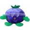 Newest Child Toys Wholesale Custom Soft Stuffed Vegetable Plush Toy