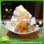 Cheapest fashionable salt water flake ice machine