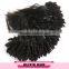 One donor unprocessed 100% virgin brazilian human hair, top kinly curly human hair braid in bundles