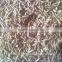 cumin seed export price