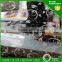 circle color etched art stainless steel sheet for construction building