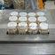 High quality of China peeled garlic garlic cloves for sale