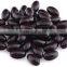 GMP Factory Supply High Quality Red Grape Skin Extract