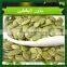 shine skin pumpkin seed kernel Grade AA 2015 new crop