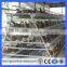 A type poultry cages for hens with egg collection machine steel layer cages(Guangzhou Factory)