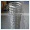 low price welded wire mesh/ galvanized welded wire mesh fence supplier