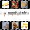2014 CY Made in China Chocolate filling snack food machine/production line with CE