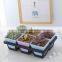 Plastic Flower Pot Rack -6 Grid