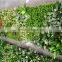 2017 best price high quality artificial plant wall artificial green wall with flower,artificial grass wall indoor/outdoor