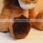 Popular Lion Stuffed Doll Plush Animal TOYS