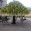SJ201710029 China manufacturer artificial plastic pudding flower blossom tree