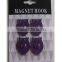 iron board+4pcs flower shape magnet hook
