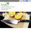 Best Quality Japanese VG10 Super Steel 67 Layer High Carbon Stainless Steel Chefs Knife