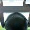 grinding media alloy casting balls, cast chromium steel balls, chrome casting steel balls