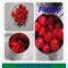 Sweet Canned Maraschino Cherry In Light Syrup