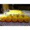 water tube, tube buoy with logo printing
