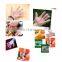 100pcs/pack Disposable PE Garden Home Restaurant BBQ Plastic Multifuction Gloves