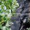 Supply polypropylene ground cover 12' w black weed control matting, pp woven fabric anti uv