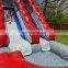 Big Inflatable Water Slides PVC Titan Water Slide With Pool