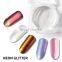 Wholesale All matched Nail art aurora nail neon fine pigment powder coating