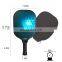 Custom Thickness USAPA Approved Graphite Pickleball Paddle