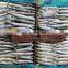 Good price frozen saury fish for processing