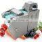 Fruit Slicer Strips Cutter Vegetable Cutting Machine