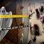 Custom Factory Wholesale PE Warning Danger Tape Non Adhesive barricade caution tape