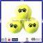 Professional Tennis Ball for Training use with Cheap Price