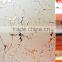 ROCK BOTTOM PRICE home decoration door/art glass/interior door glass/partition glass/TJ-net garden/champagne titanium