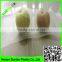 Anti insect screen mesh/grasshopper cultivating netting/insect poultry net