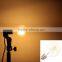 G80 LED Bulb 4W E26/E27 Filament Light AC 110V 220V Vintage Edison Lamp Retro Incandescent Transparent Glass Appearance