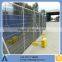 reasonable price Australia hot-dipped galvanized PVC coated welded temporary fence (exporter)